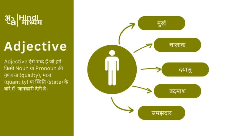 Separate के विभिन्न रूप (Verb, Adjective, Noun) और उनके हिंदी अनुवाद