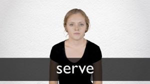 serve meaning in hindi 1