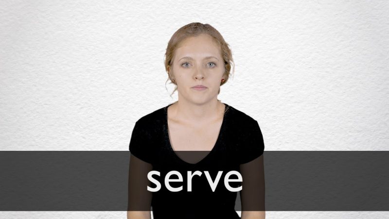 serve meaning in hindi 1
