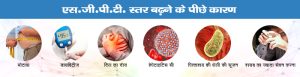 sgpt test meaning in hindi 5