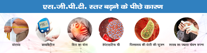 एसजीपीटी का स्तर बढ़ने का क्या मतलब है? (SGPT Ka Star Badhne Ka Kya Matlab Hai?)