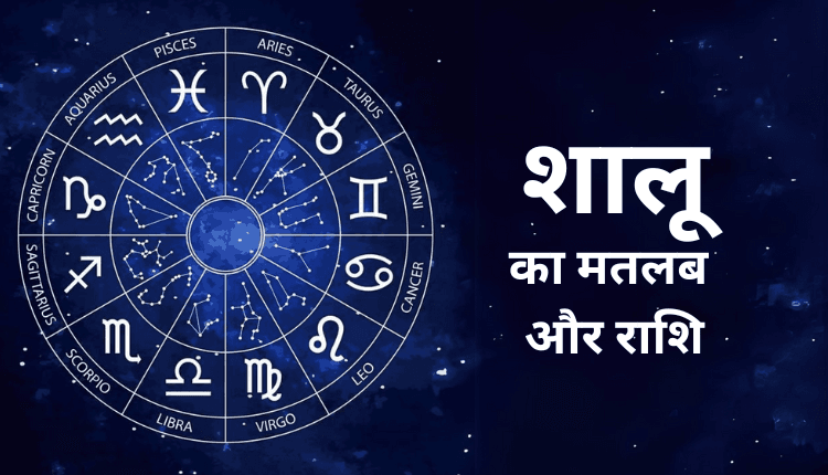 shalu meaning in hindi - Hình 1