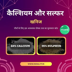 shelf meaning in hindi 2