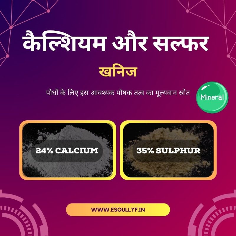 शेल्फ का हिंदी में अर्थ: परिभाषा, उपयोग और सूक्ष्मताएं