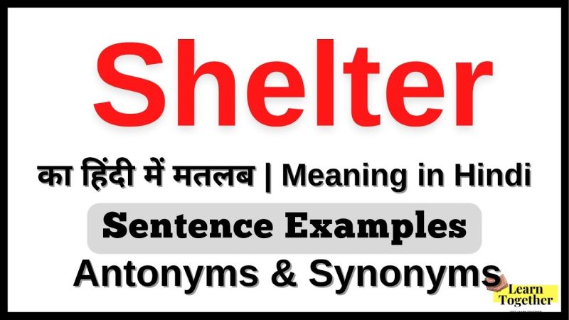 आश्रय (Shelter) खोजने के संसाधन: हिंदी में जानकारी कैसे प्राप्त करें?