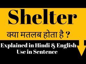 shelter meaning in hindi 5