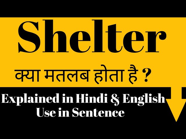 'शेल्टर' (Shelter) शब्द का वाक्य में प्रयोग: हिंदी में उदाहरण