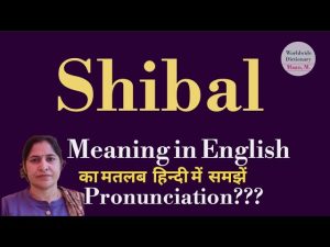shibal meaning in korean in hindi 2