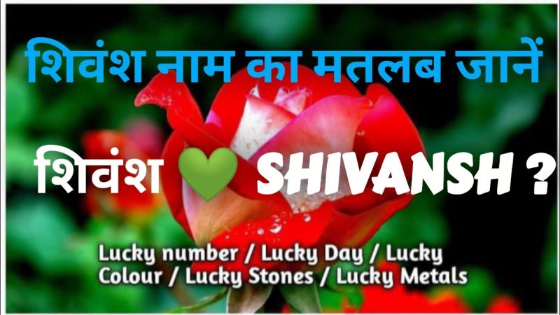 शिवंश नाम की उत्पत्ति: इतिहास और सांस्कृतिक महत्व (शिवंश नाम कहाँ से आया, इसका इतिहास क्या है और संस्कृति में इसका क्या महत्व है)