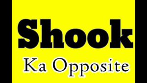 shook meaning in hindi 2