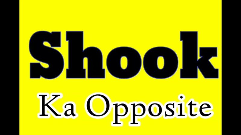 shook meaning in hindi 2