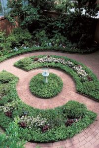 shrubs meaning in hindi 3
