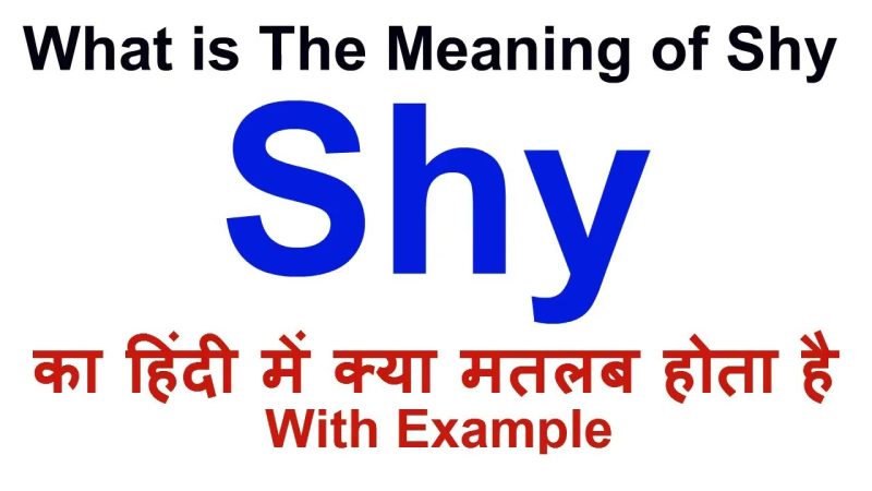 shy meaning in hindi - Hình 5