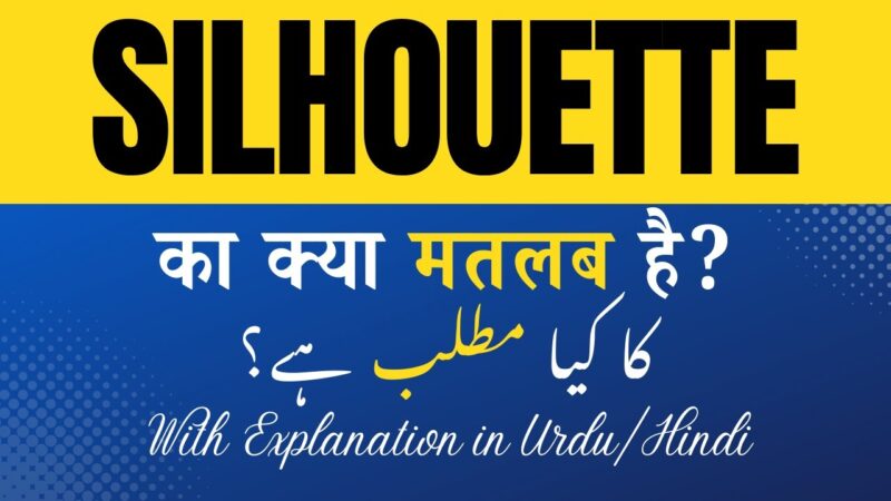 silhouette meaning in hindi - Hình 3