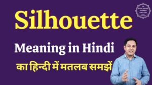 silhouette meaning in hindi