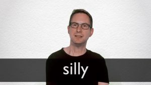silly meaning in hindi 1