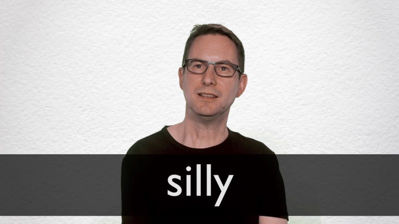 silly meaning in hindi 1