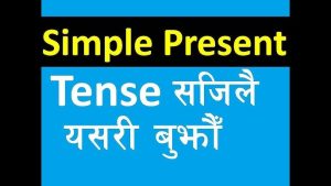 Simple Present Tense In Hindi – Definition, Examples, Rules