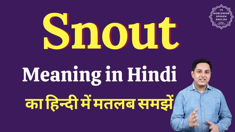 snout meaning in hindi 2