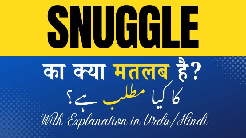 स्नगल के विभिन्न अर्थ और बारीकियां