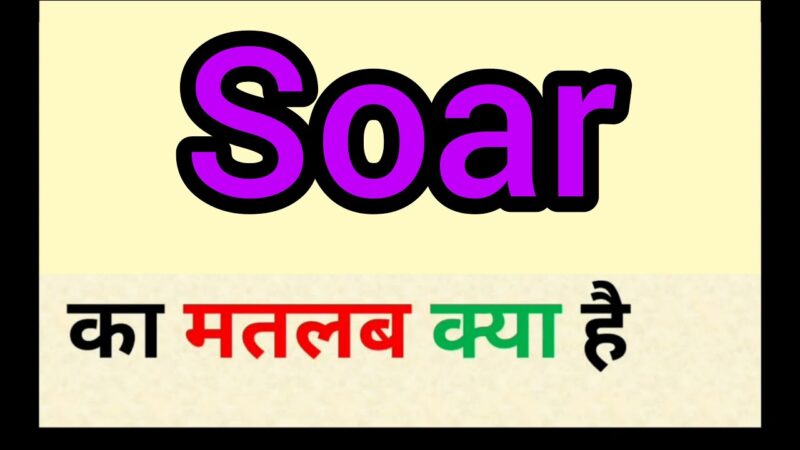 soaring meaning in hindi - Hình 3