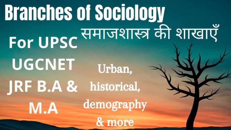 समाजशास्त्र की प्रमुख शाखाएँ