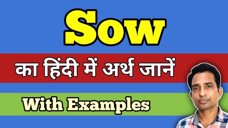 मुहावरों और लोकोक्तियों में 'बोना' शब्द का प्रयोग: अर्थ और व्याख्या