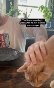 spare meaning in hindi 1