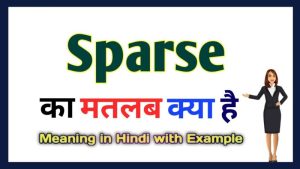 sparsely meaning in hindi 1