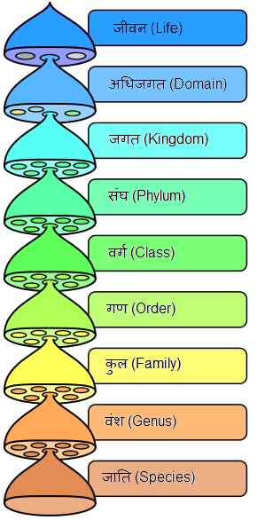 प्रजाति: हिंदी में अर्थ और परिभाषा (Prajaati: Hindi mein arth aur paribhasha)