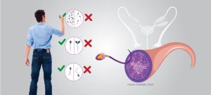 sperm meaning in hindi 3
