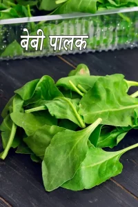 spinach meaning in hindi 1
