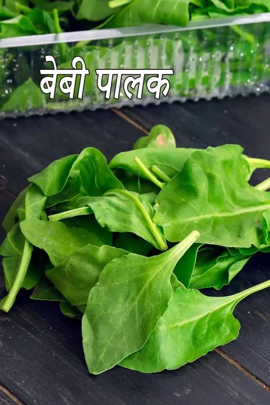 पालक: हिंदी में पालक का सही अर्थ और परिचय