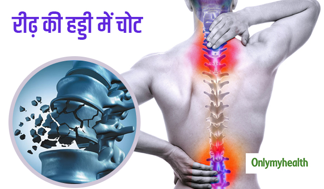 स्पाइनल कॉर्ड के कार्य: हिंदी में स्पष्टीकरण
