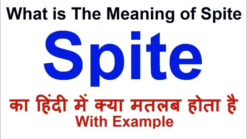 Spite शब्द का उपयोग: वाक्यों में सही प्रयोग [Spite Shabd ka Upyog: Vakyon Mein Sahi Prayog]