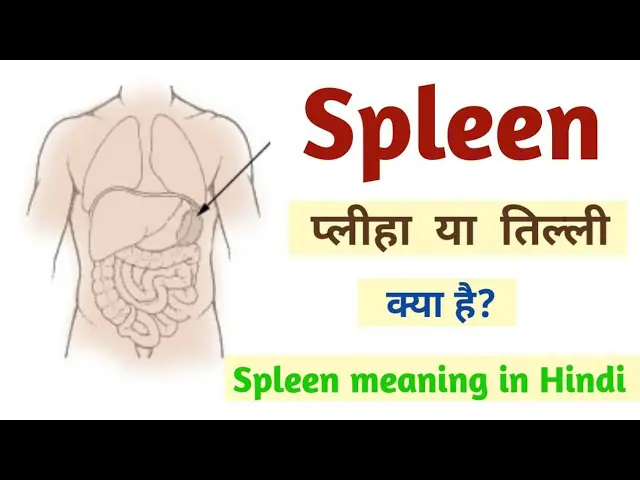 माइल्ड स्प्लेनोमेगाली के कारण (Causes of Mild Splenomegaly)