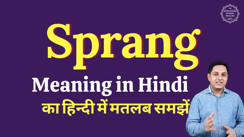 sprang का अर्थ हिंदी में क्या है?