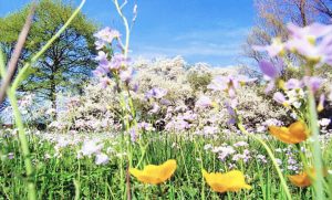 spring season meaning in hindi 3