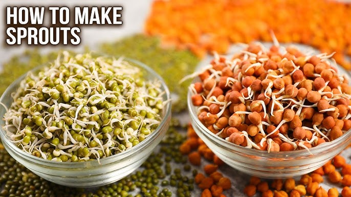 विभिन्न प्रकार के अंकुरित अनाज और बीज: उपयोग और पोषण मूल्य (Different Types of Sprouted Grains and Seeds: Uses and Nutritional Value)