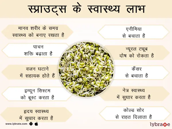 अंकुरित का हिंदी में अर्थ: परिभाषा और महत्व