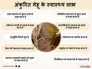 sprouts meaning in hindi 3