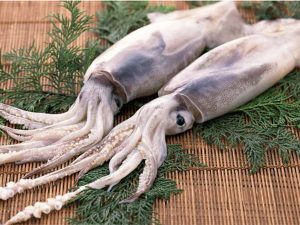 squid meaning in hindi 4