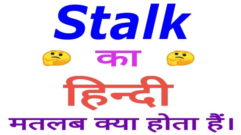 stalk meaning in hindi 5
