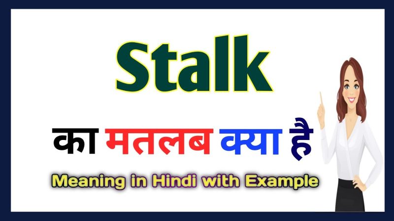 stalks meaning in hindi - Hình 3
