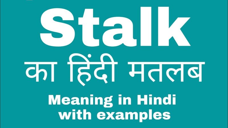 stalks meaning in hindi - Hình 4