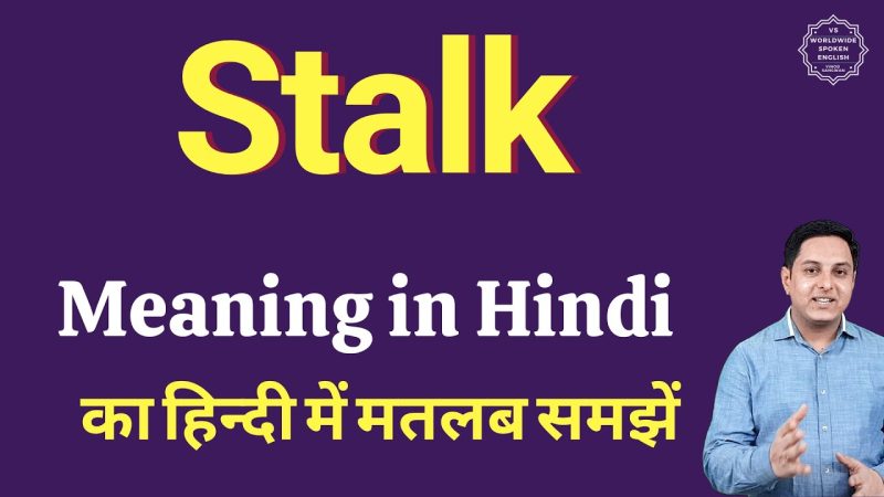 stalks meaning in hindi - Hình 1