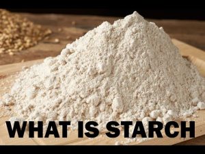 starch meaning in hindi 1