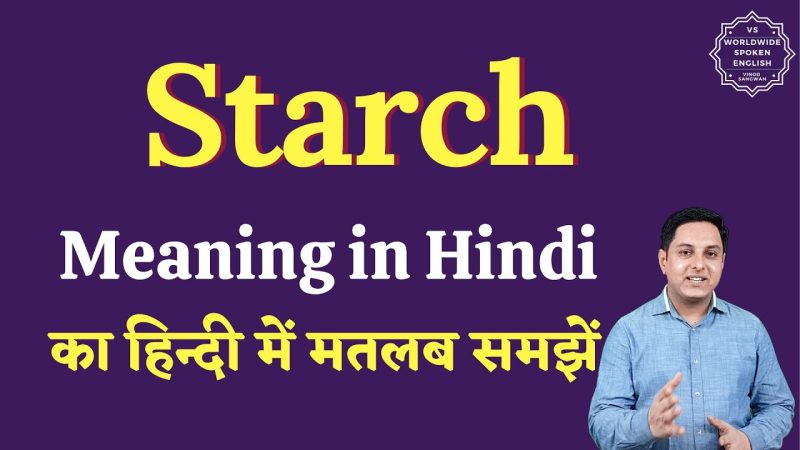 औद्योगिक उपयोगों में स्टार्च: अनुप्रयोग और हिंदी शब्दावली