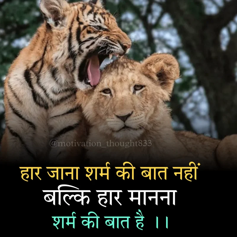 स्टेटस बनाए रखने और सुधारने के तरीके (Status banaaye rakhne aur sudharne ke tareeke)