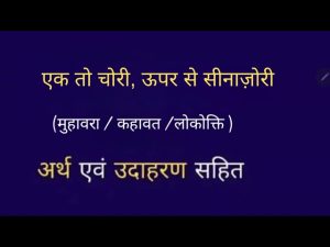 stolen meaning in hindi 5